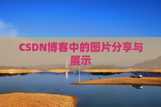 CSDN博客中的图片分享与展示